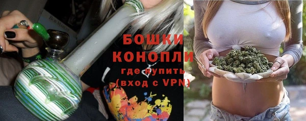 дурь Богородицк
