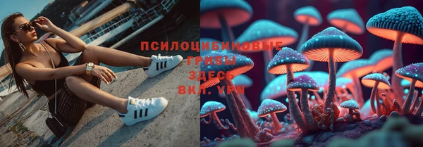 дурь Богородицк