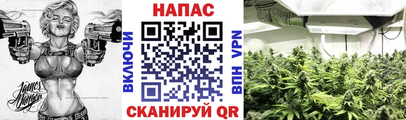 blacksprut ONION  Мостовской  Каннабис SATIVA & INDICA 